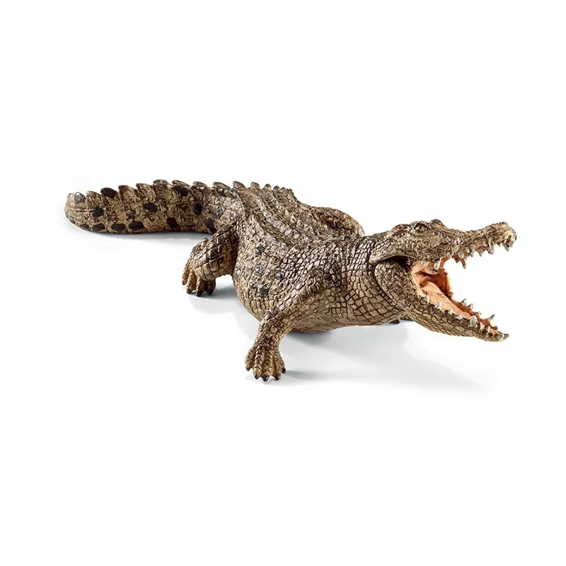 Crocodile - Wild Life-0