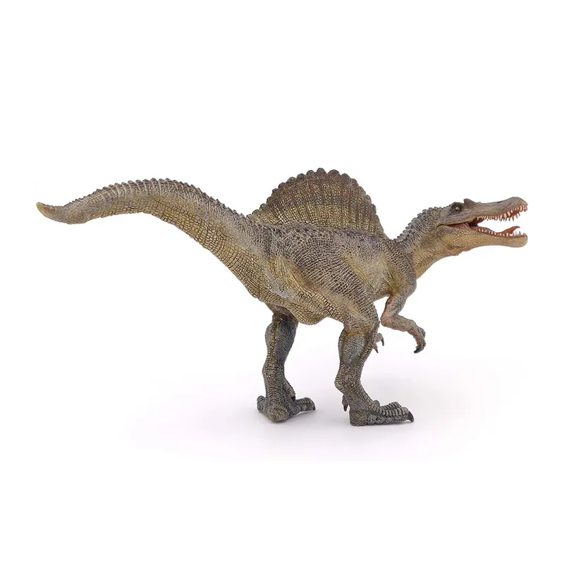 Spinosaure   - 31x13x17 cm-2