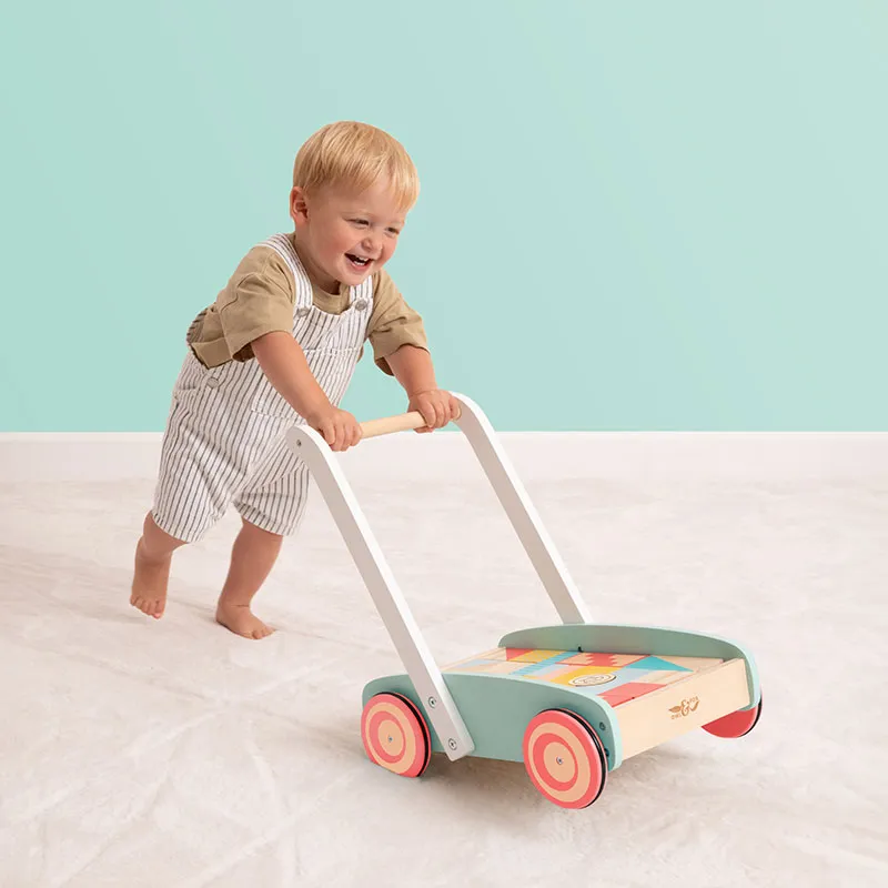 Chariot de marche + Cubes Bois Owl & Fox - 12m+-3