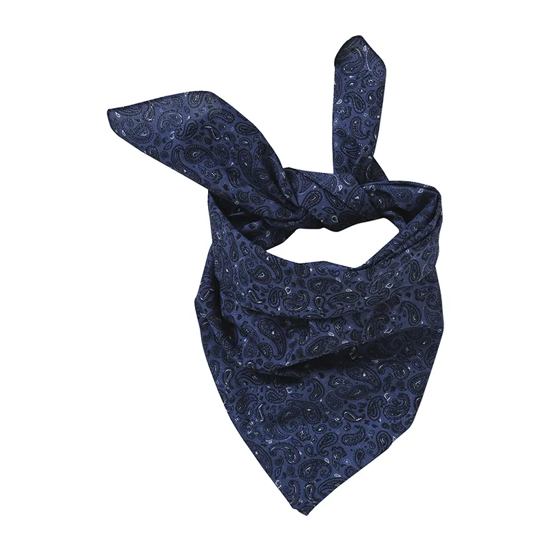 Foulard voile de coton bandana - Marine-0