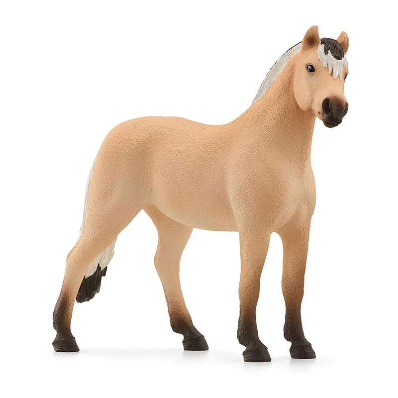 Hongre Fjord - Horse Club-0