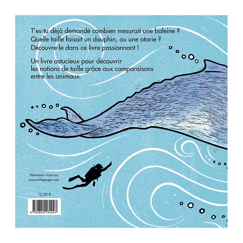 Combien mesure une baleine ? - 36m+-1