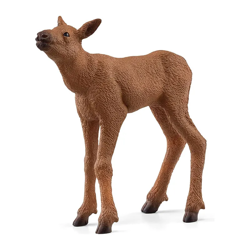 Élan Femelle avec Veau - Wild Life-2