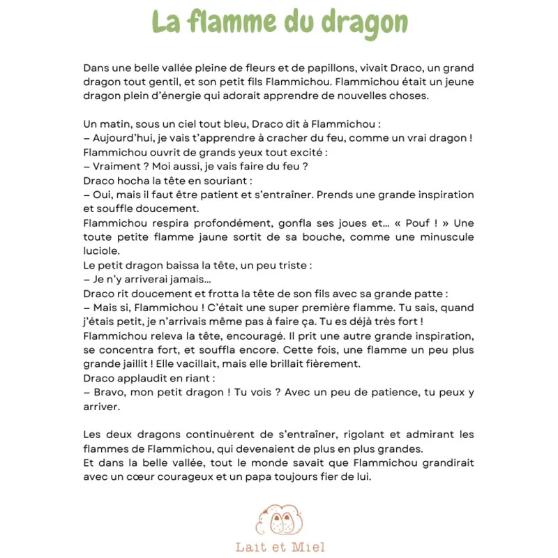 Chaussons cuir Dragon-7