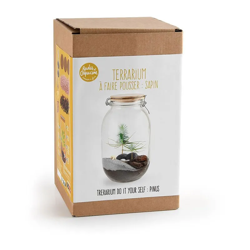 Terrarium DIY Sapin de Noël - 16x27x16cm-0
