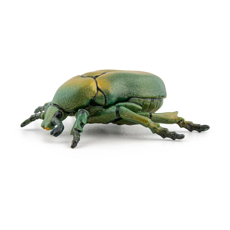 Cétoine doré - 4,3x4x1,5cm-5