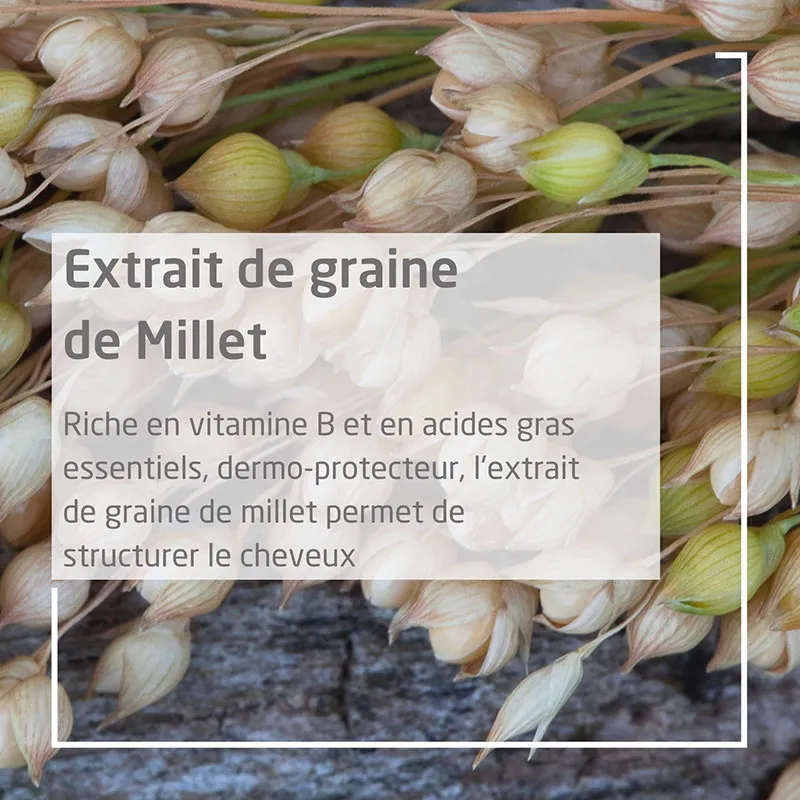 Shampooing Extra-Doux Millet - 190ml-1