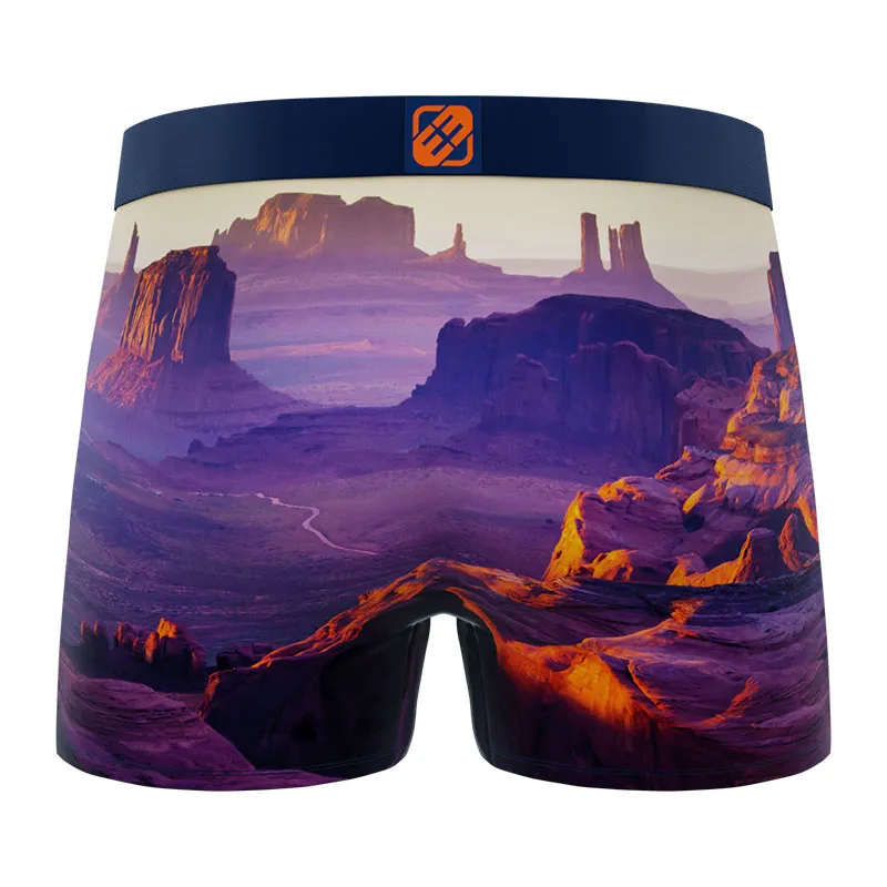 4 Boxers Garçon Landscape Freegun - Bleu-6