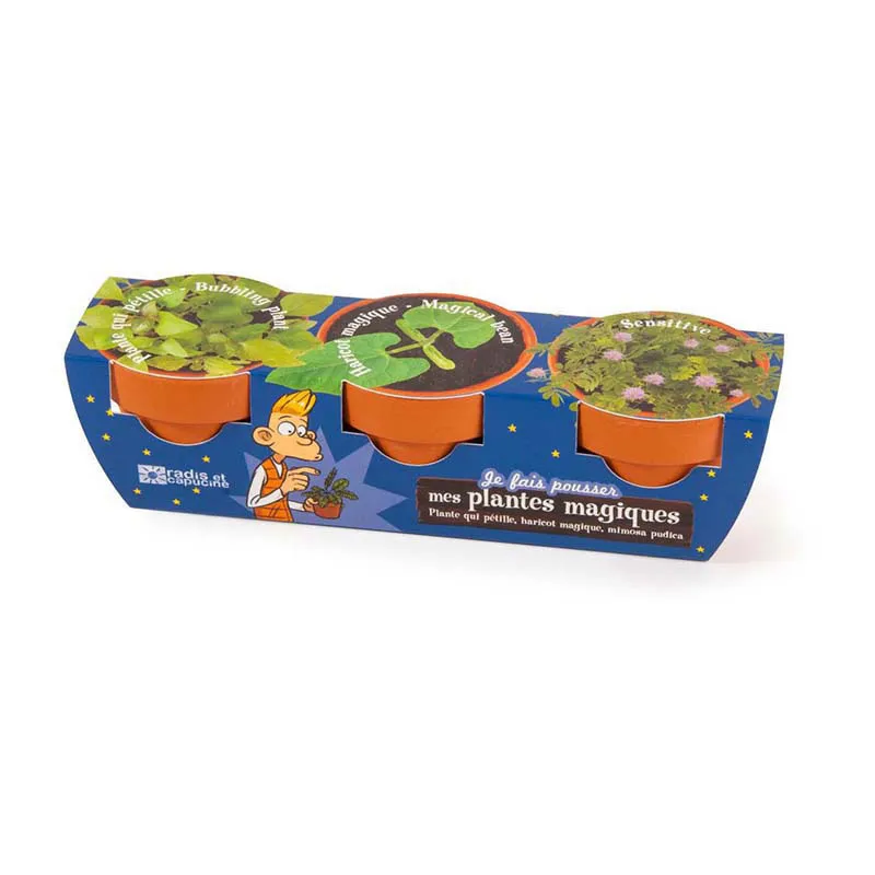 Trio de Pots - Plantes magiques-1