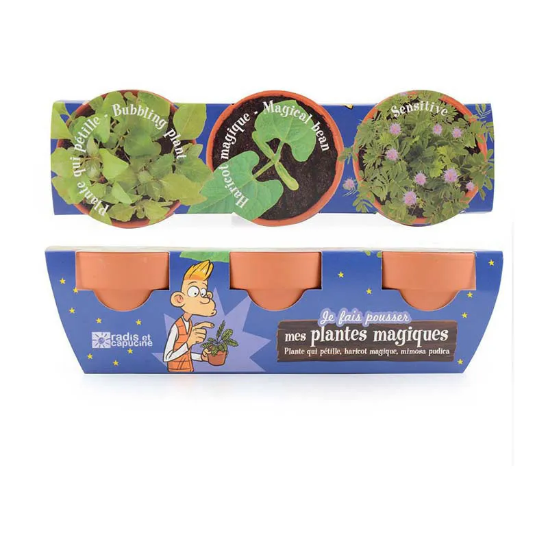 Trio de Pots - Plantes magiques-3