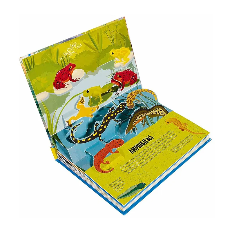 Livre Pop-Up Dinosaures Vivants - 6+-1