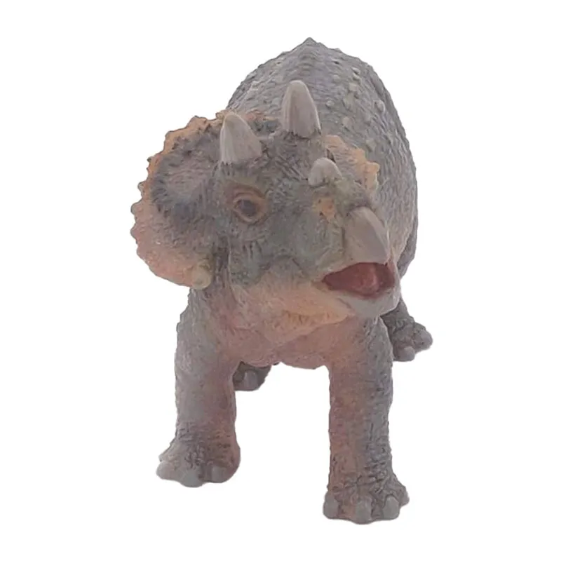 Jeune tricératops - 9,7x6,3cm-3