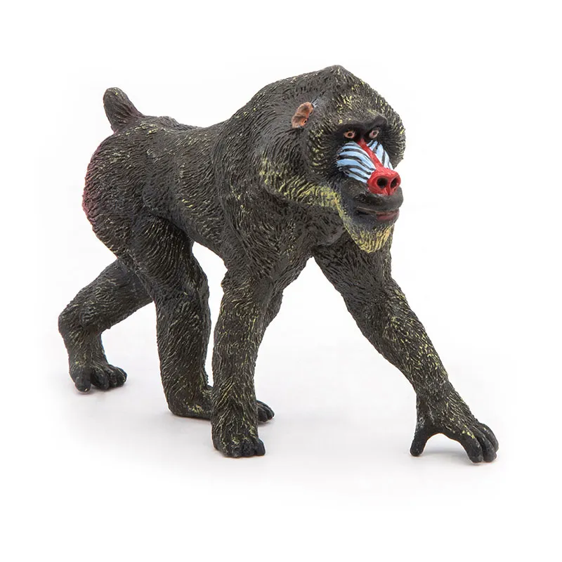 Mandrill - 4x10x7,5cm-0