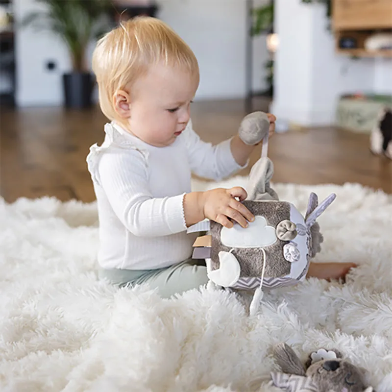 Cube d'activité Koala Coco - 0m+-4