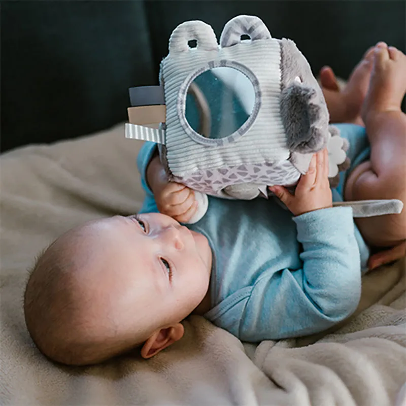 Cube d'activité Koala Coco - 0m+-6