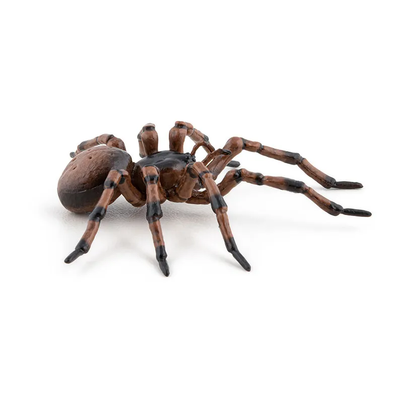 Araignée commune - 6,3x6,1x2,4cm-4