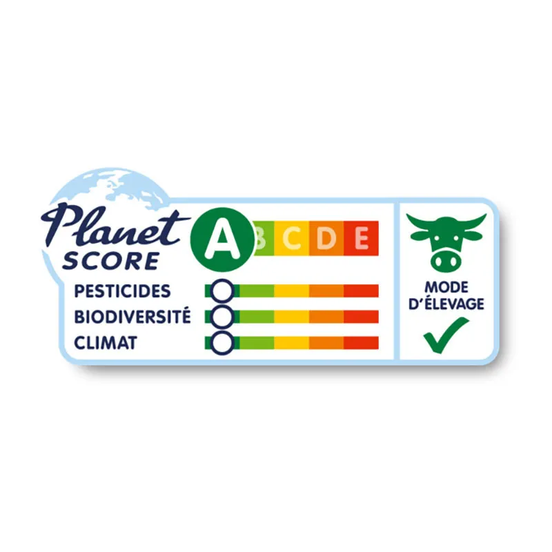 3 Assiettes Petites Lasagnes aux Légumes BIO - 3x260g-2