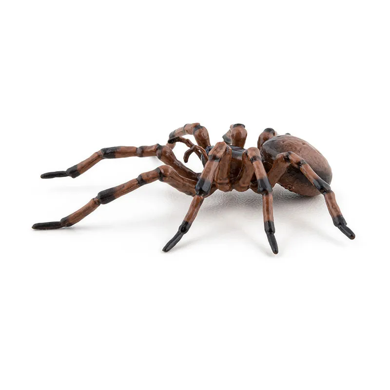 Araignée commune - 6,3x6,1x2,4cm-5