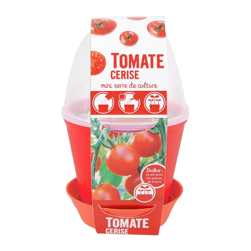 Pot-cloche - Tomate cerise BIO-0