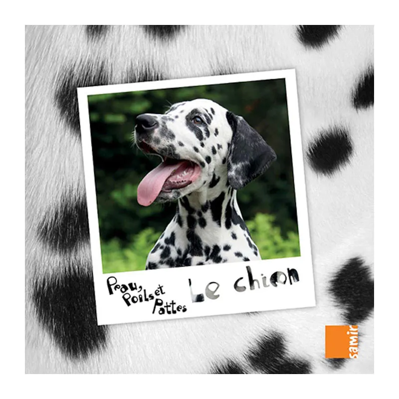 Peau, poils et pattes Chien - 4+-0