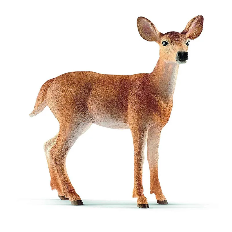 Biche de Virginie - Wild Life-0
