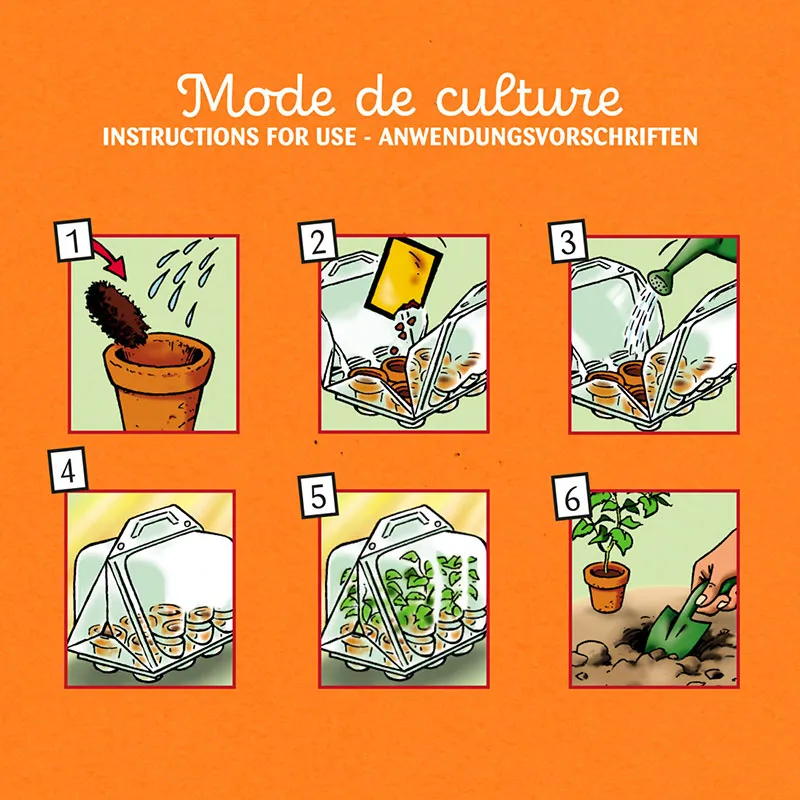 Mini serre + 6 pots - Tomates Bio-3
