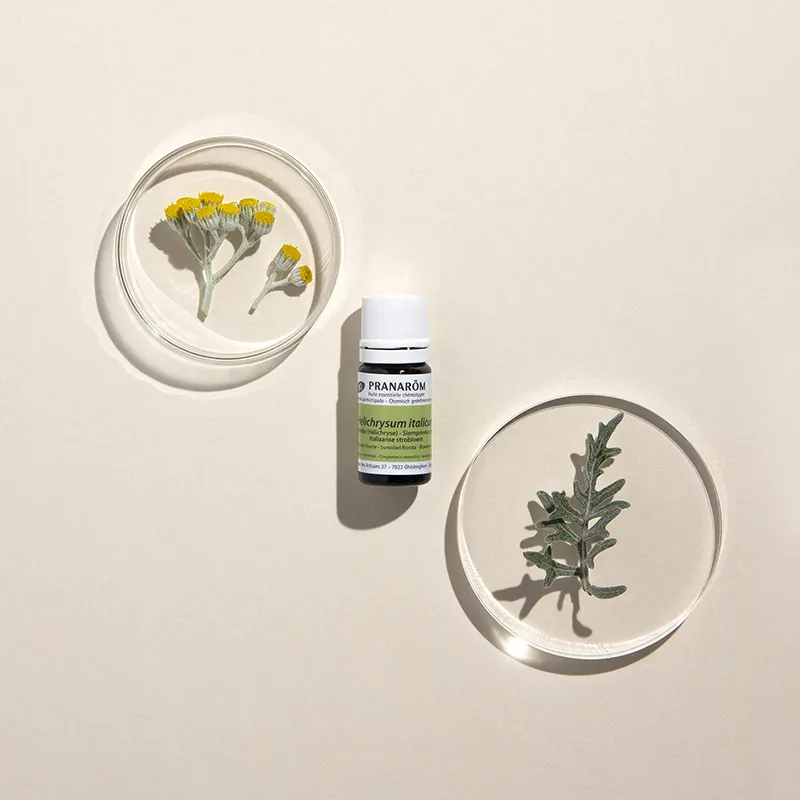 Huile essentielle Immortelle BIO - 5ml-1