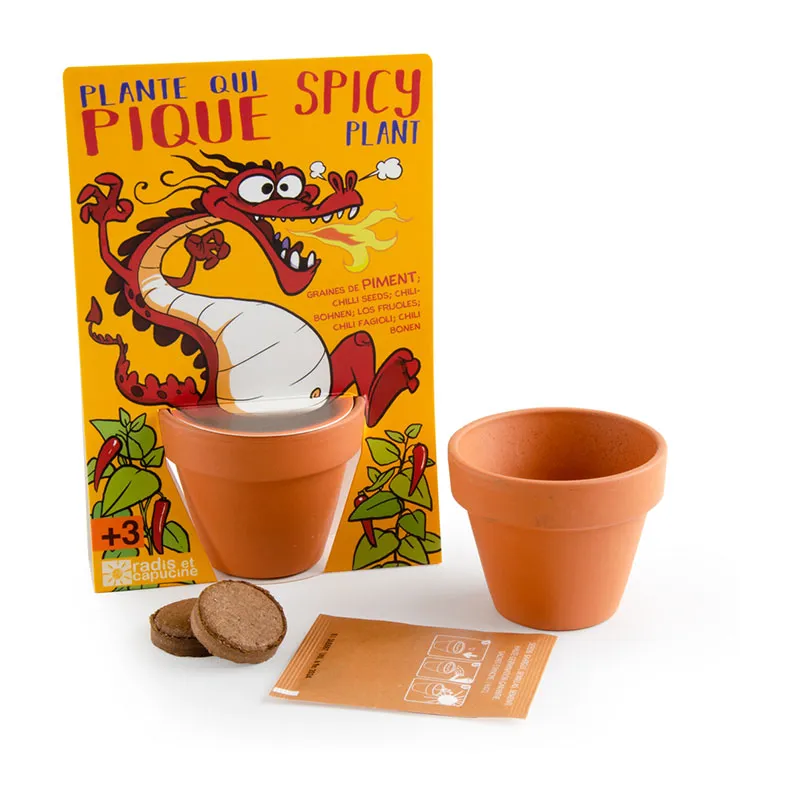 Kit à semer - Piment de Cayenne Dragon-2