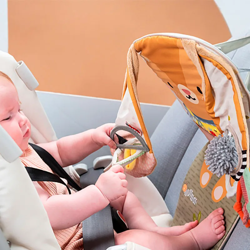 Centre d'activités pour voiture Lapin - 0m+-2