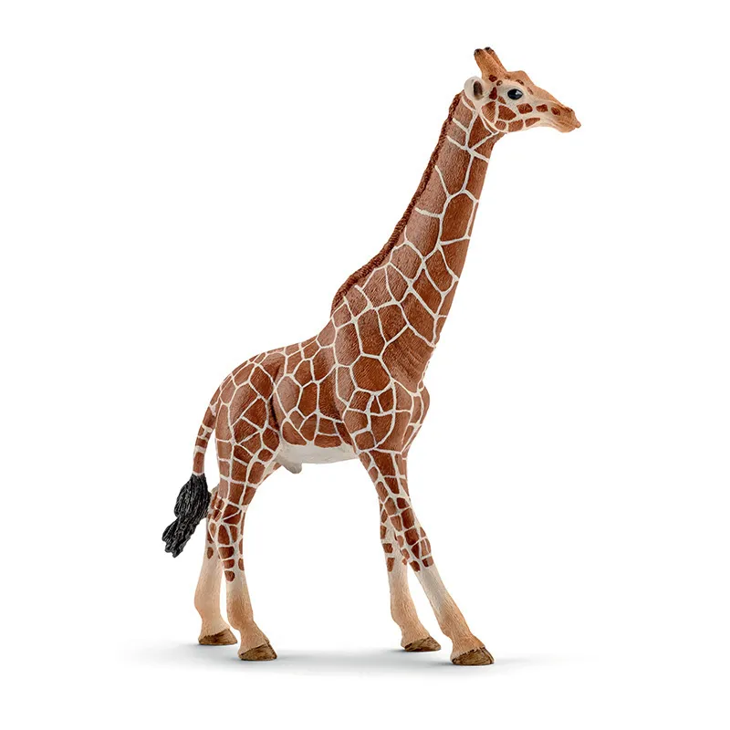 Girafe mâle - Wild Life-0