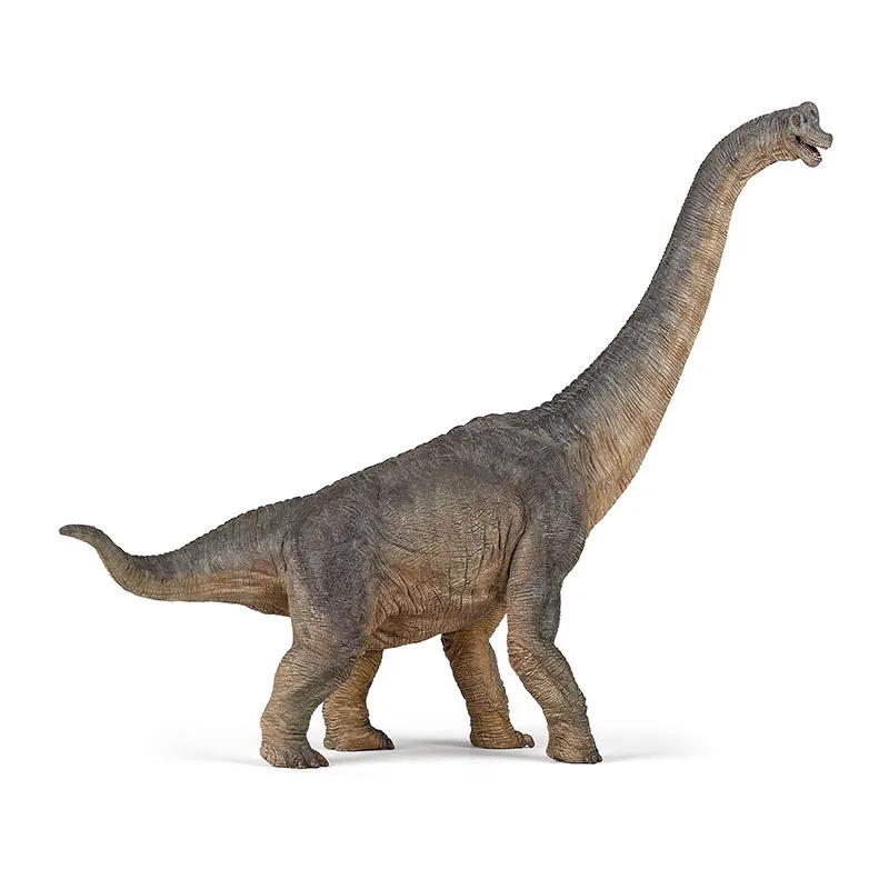 Brachiosaure - 36x31cm-0