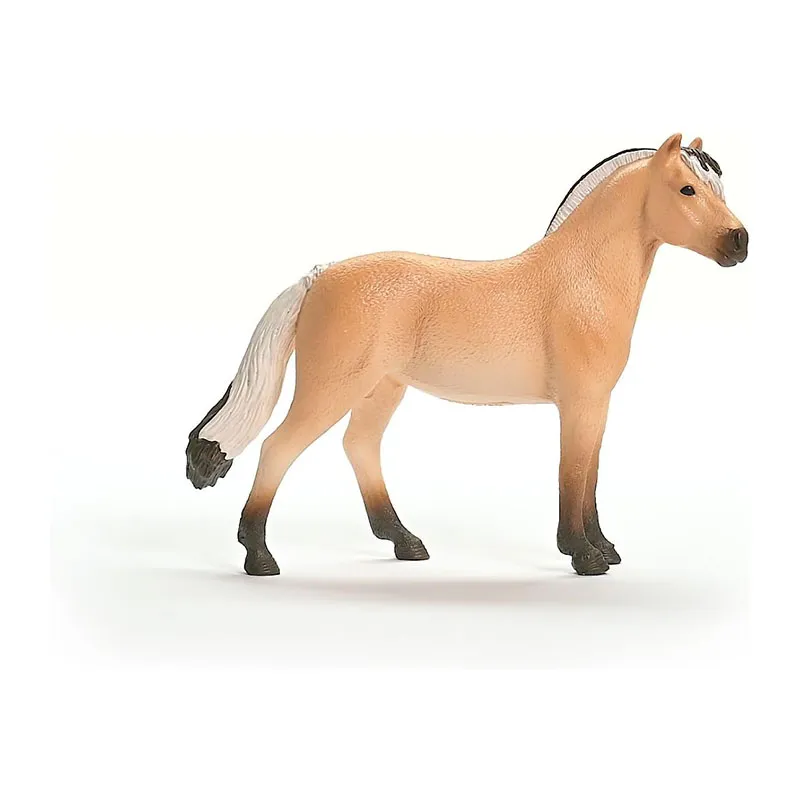 Hongre Fjord - Horse Club-4