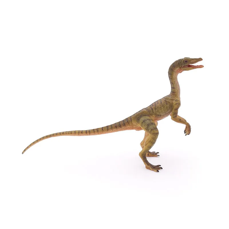 Compsognathus - 17x12cm-5