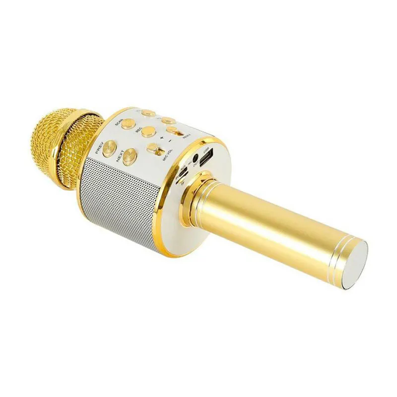 Micro karaoké Bluetooth - Gold-2