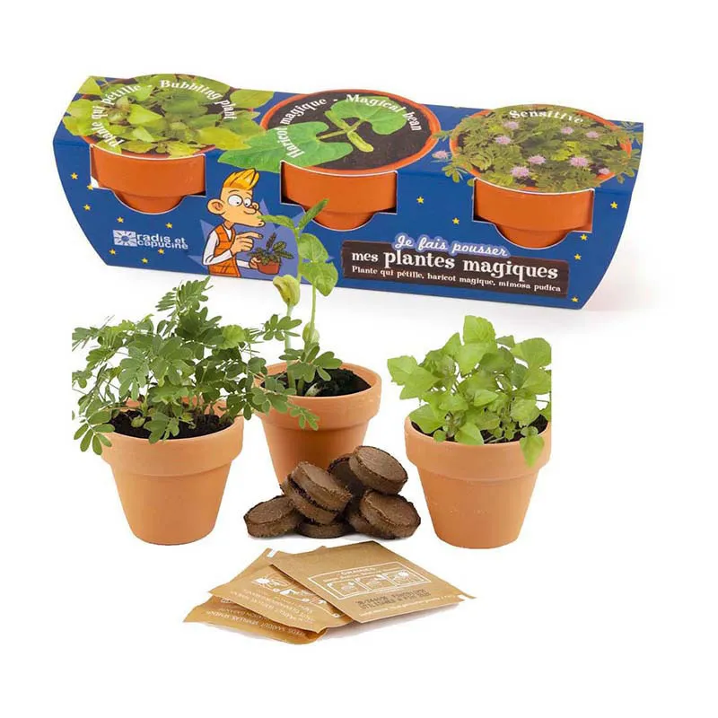 Trio de Pots - Plantes magiques-0