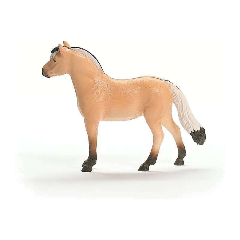 Hongre Fjord - Horse Club-3