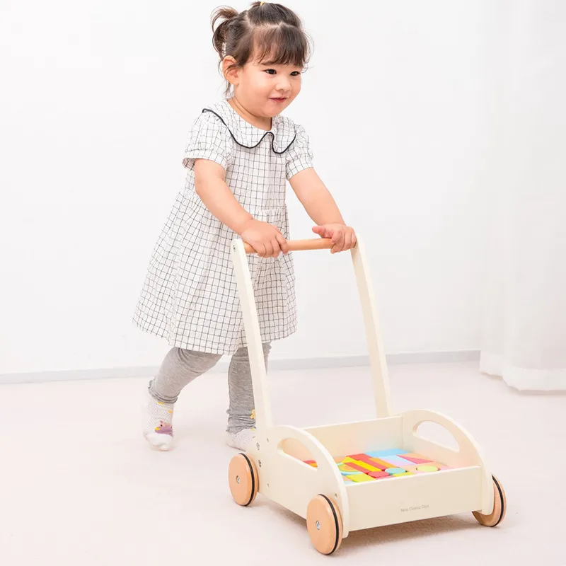 Chariot à pousser avec blocs 30pcs - 12m+-1