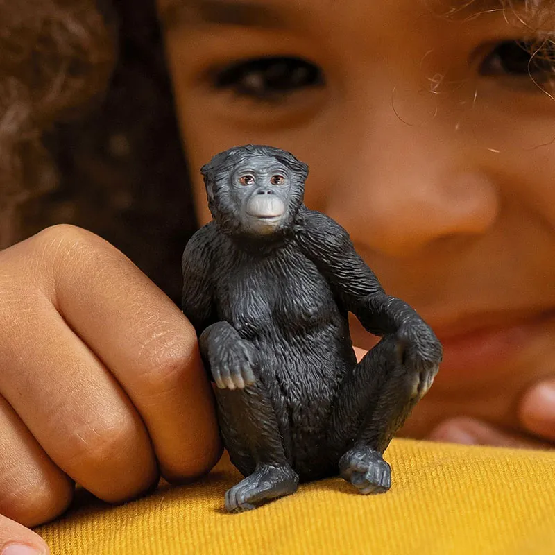 Femelle Bonobo - Wild Life-1