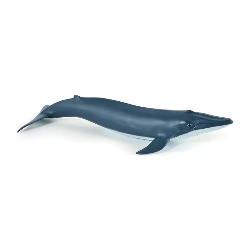 Bébé baleine bleue - 20x9,5cm-0