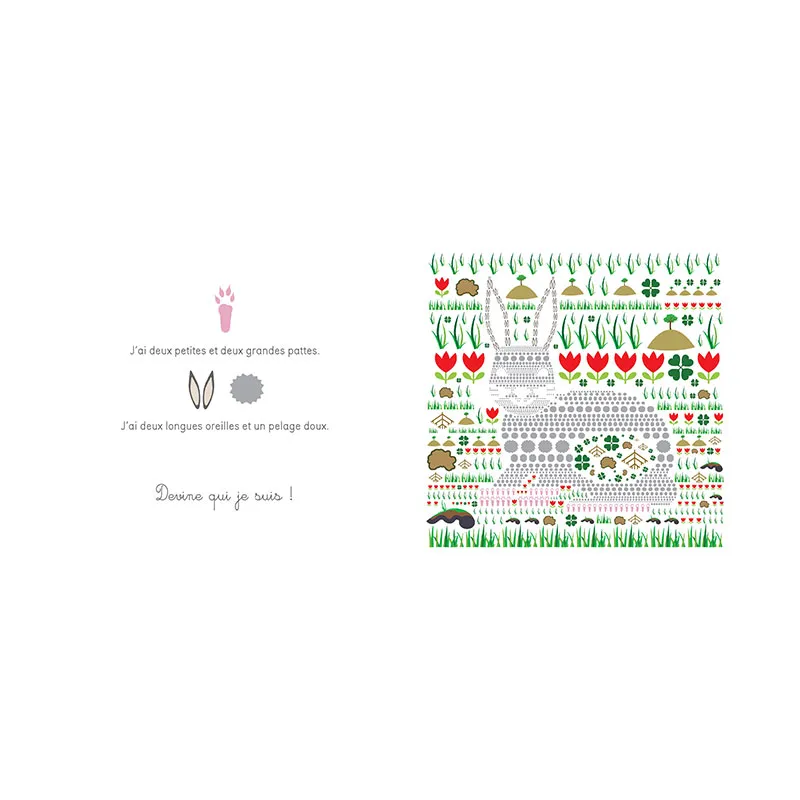 Devine les animaux - 3+-4