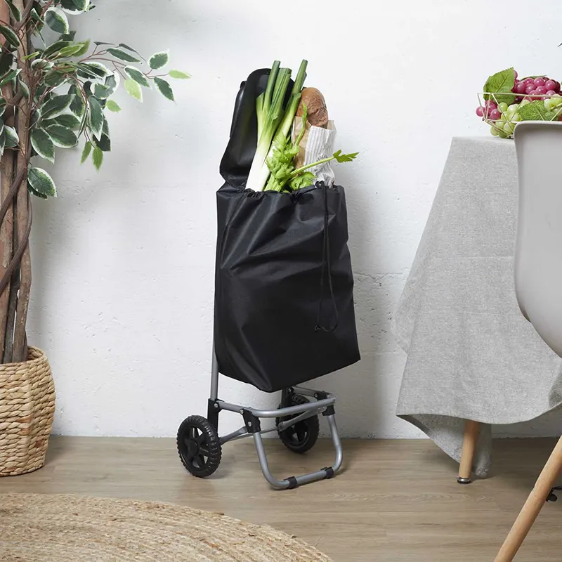 Chariot shopping 2 roues Noir - 35x87x28cm-0