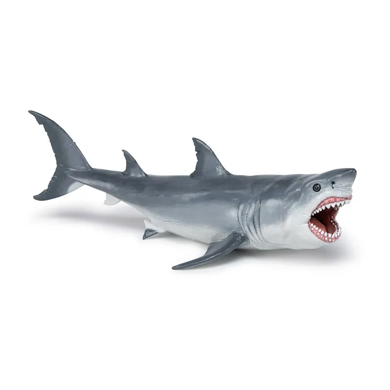 Mégalodon - 22x12x7cm-1