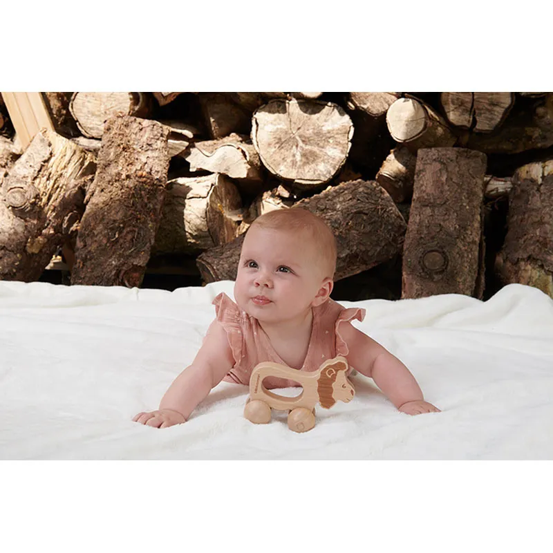 Coffret Jeux d'éveil Bois Safari 3pcs - 3m+-5