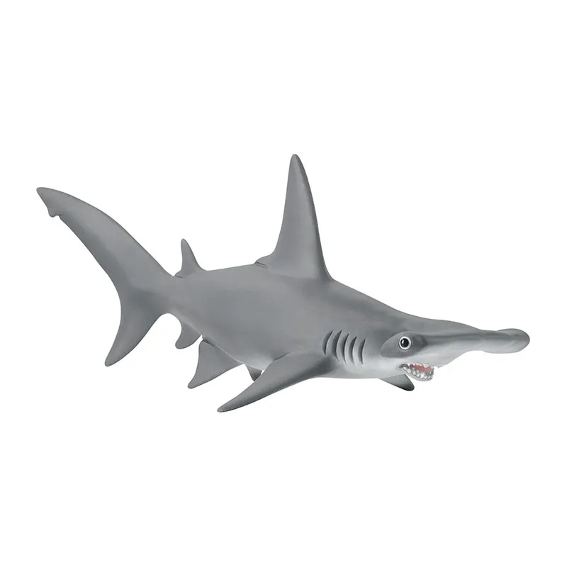 Requin marteau - Wild Life-0