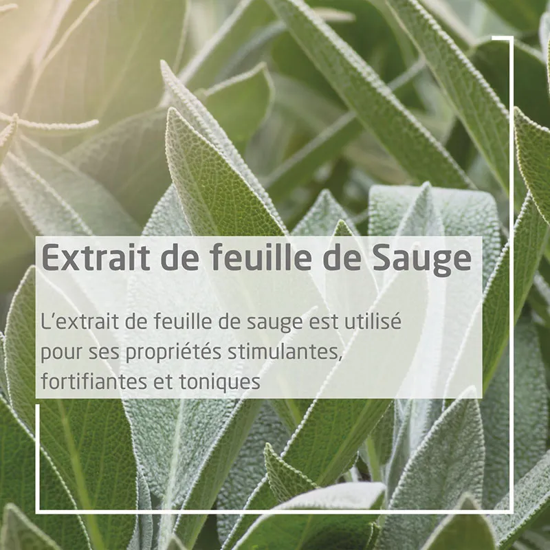Gel gingival à la Sauge - 30ml-3