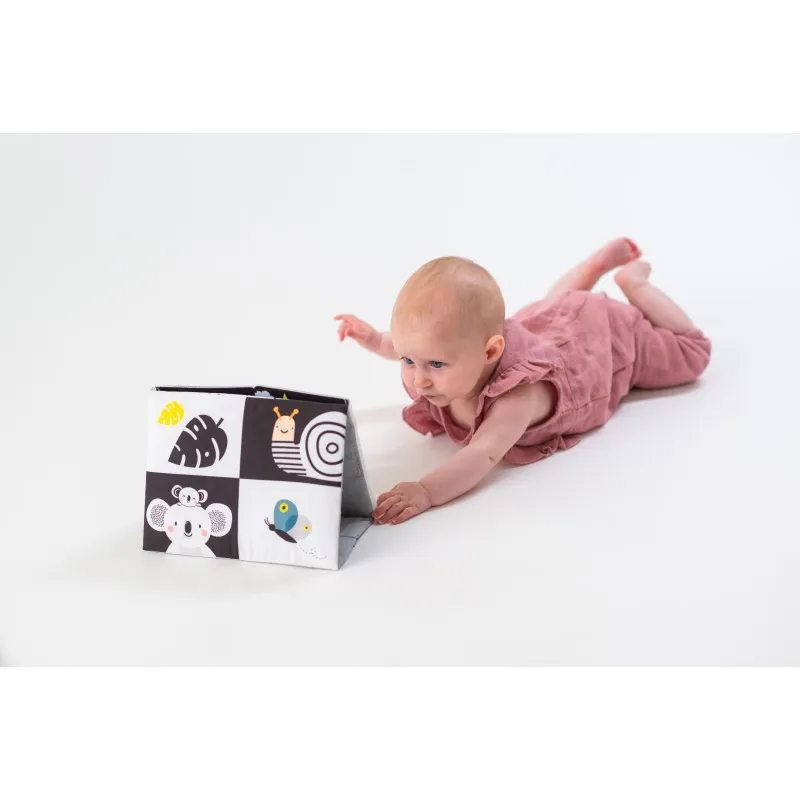 Livre miroir chevalet Koala - 0m+-3