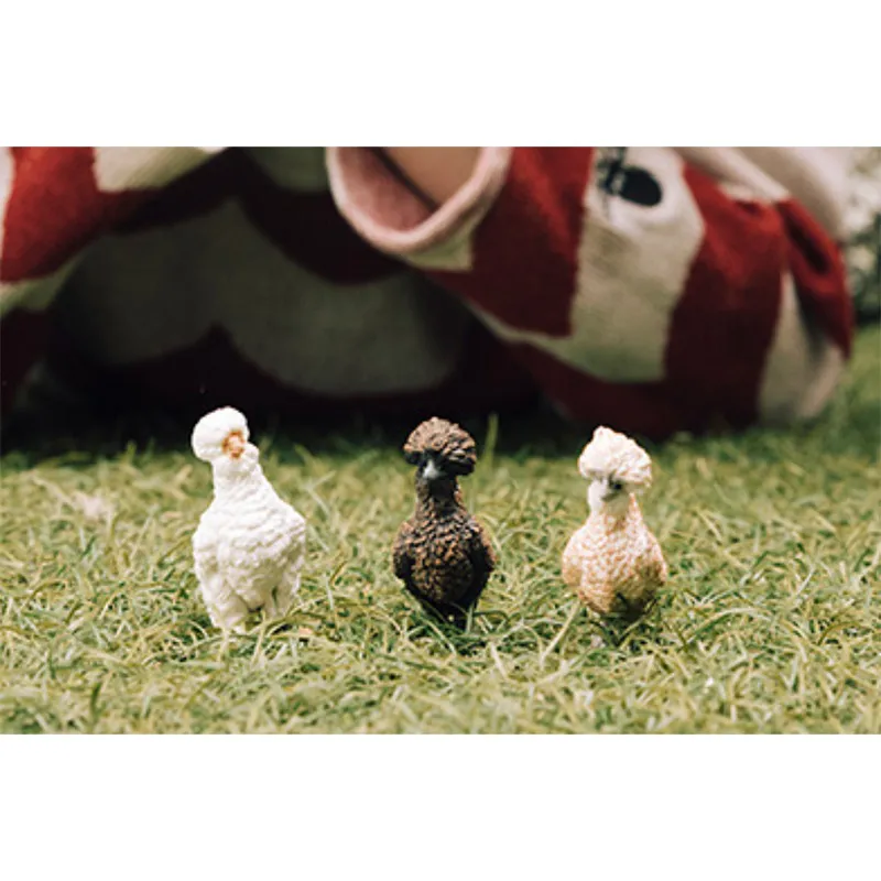 Trio de poules - Farm World-6