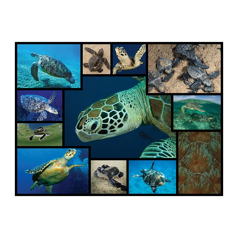 Puzzle WWF Tortues Marines 1000pcs - 12+-1