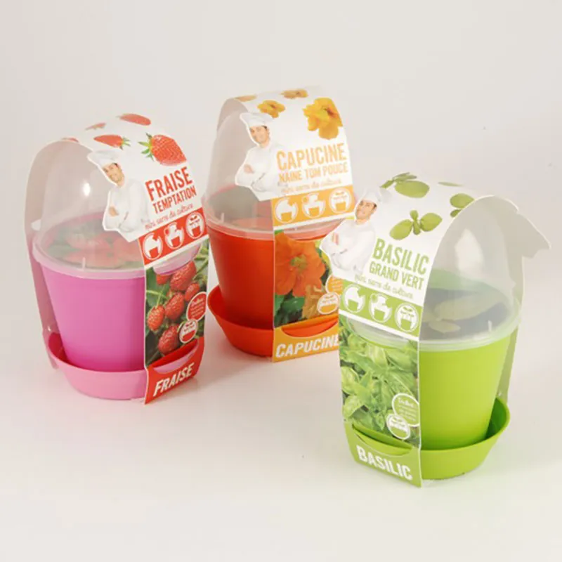 Pot-cloche - Basilic BIO-3