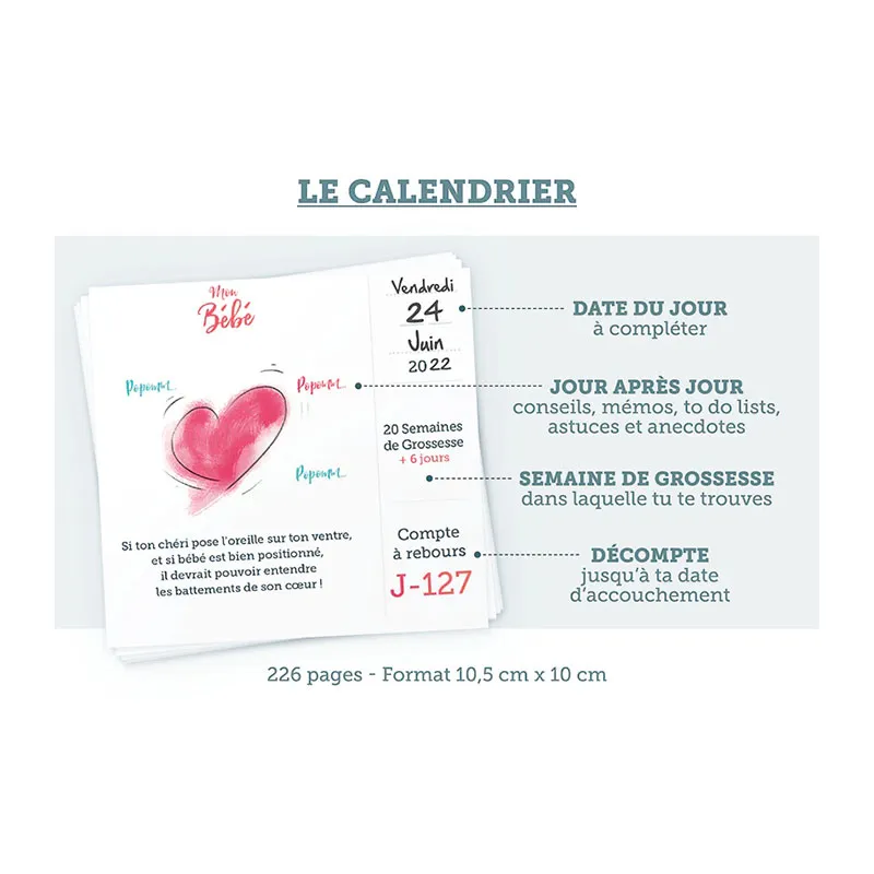 Calendrier de grossesse - Futur Papa -3